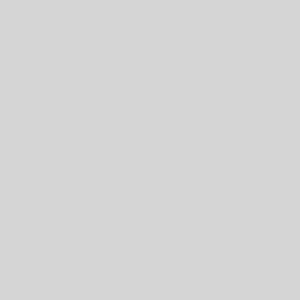 TripAdvisor Interface